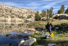 Science Pub: Introduced Trout and Pollination
