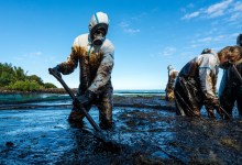 Restoring Damaged Ecosystems
