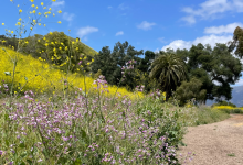Arroyo Burro Nature Connection Walk