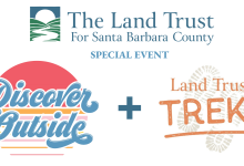 Kids Draw Nature at the Carpinteria Bluffs
