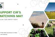 Support Matching May