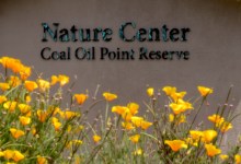 Visit the Nature Center at Coal Oil Point Reserve
