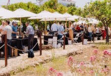 Taste of Santa Barbara Wines