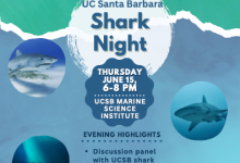 Shark Night