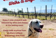 Walks & Wags at Vincent Vineyard