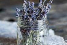 Lavender U-Pick Harvest