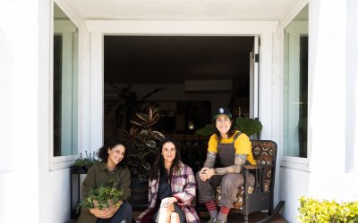 Green Thumbs, Great Design at Sisters Plant Shop          and Bea Furnishings
