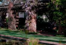 Rooted in Nature: Rose Plant Spirit Immersion