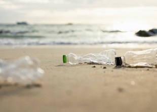 Is Rapid and Complete Degradation of Plastics Possible?