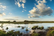 Wetlands Rise to the Challenge