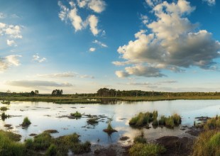 Wetlands Rise to the Challenge