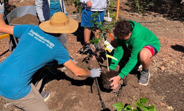 Dirty Hands, Bright Minds at La Colina School Garden