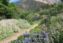 Outreach Training at SB Botanic Garden