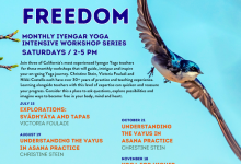 Imagine Freedom: Iyengar Yoga Intensive Series