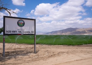 A Water War Is Underway in Santa Barbara County’s Carrot Country