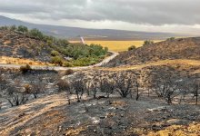 Plant Fire Near New Cuyama Fully Contained