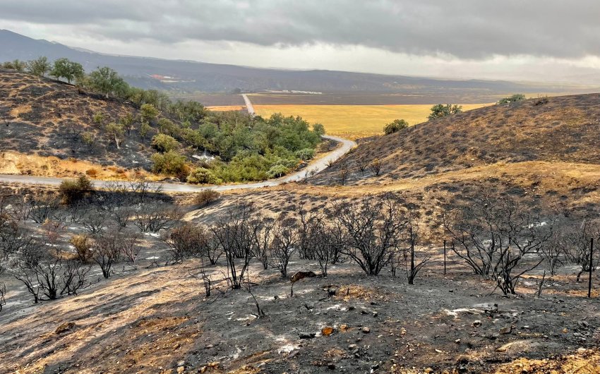 Plant Fire Near New Cuyama Fully Contained