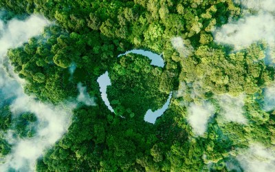 The Imperative for Degrowth