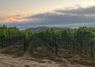 Elegance and Excellence | Sta. Rita Hills Wine & Fire Event Unveiled