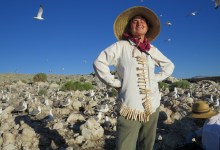 “Following the Phalaropes” Audubon season opener