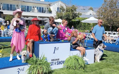 Pups on Parade at Miramar’s Best in Show