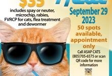 ASAP Cats “Beat the Heat” Spay/Neuter Clinic