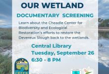 Film Screening: Bringing Back Our Wetland