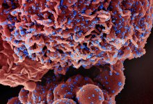 New COVID Vaccines Approved as Cases Rise in Santa Barbara County