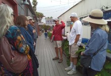 Free Funk Zone Walking Tour