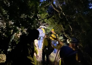 Public Assistance Requested in La Purisima Mission State Park Fires Investigation 