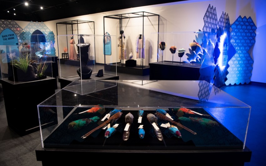 The Santa Barbara Natural History Museum Makes A Sustainable Fashion Statement