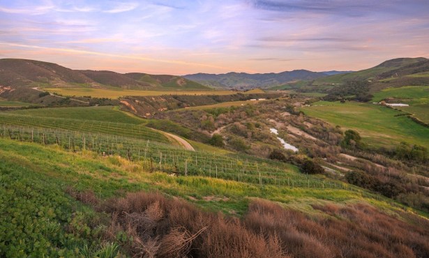 Lompoc Opts Out of Wine Country [Corrected]