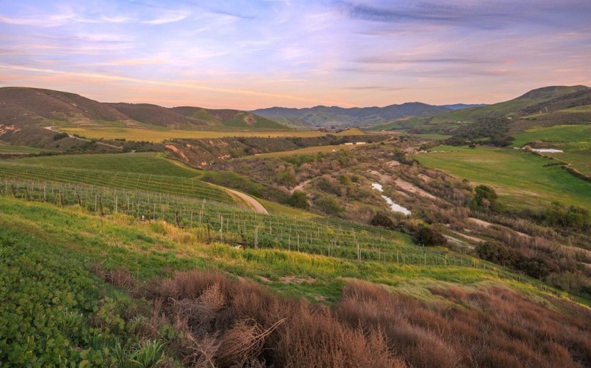 Lompoc Opts Out of Wine Country [Corrected]